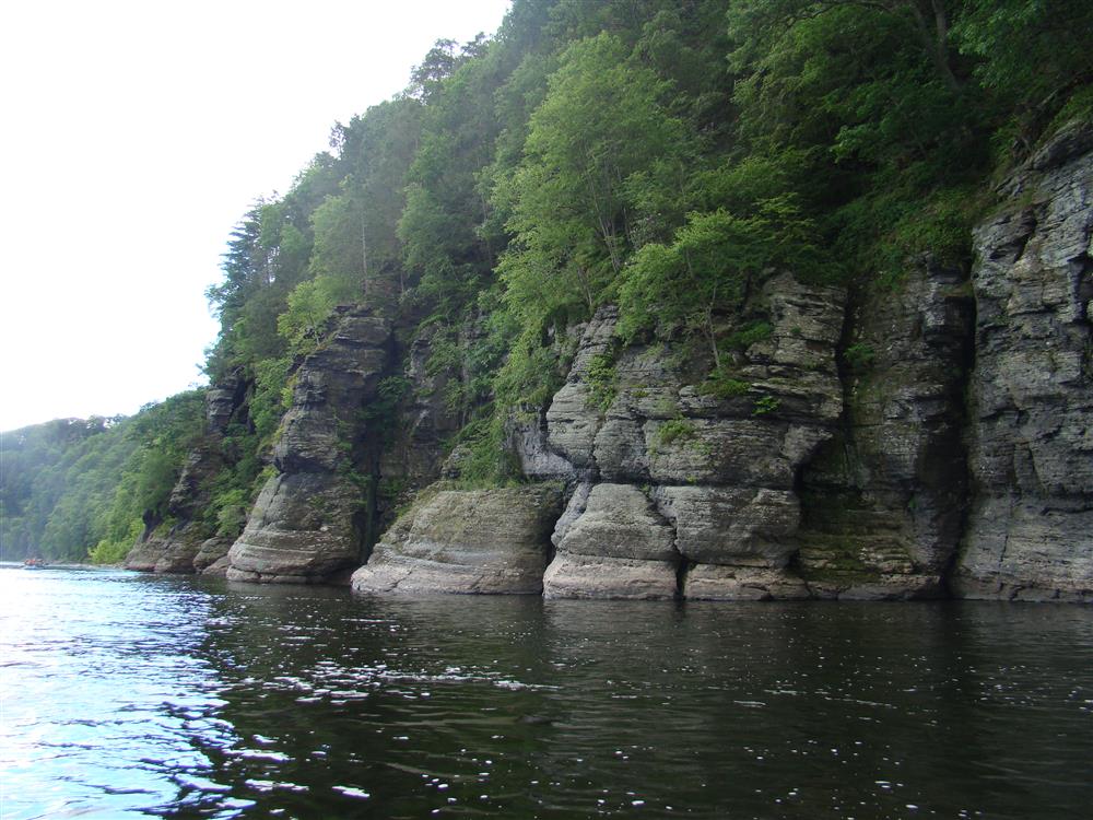 DSC03741