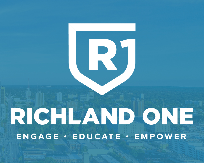 Five richland one schools awarded distinguished arts program grants