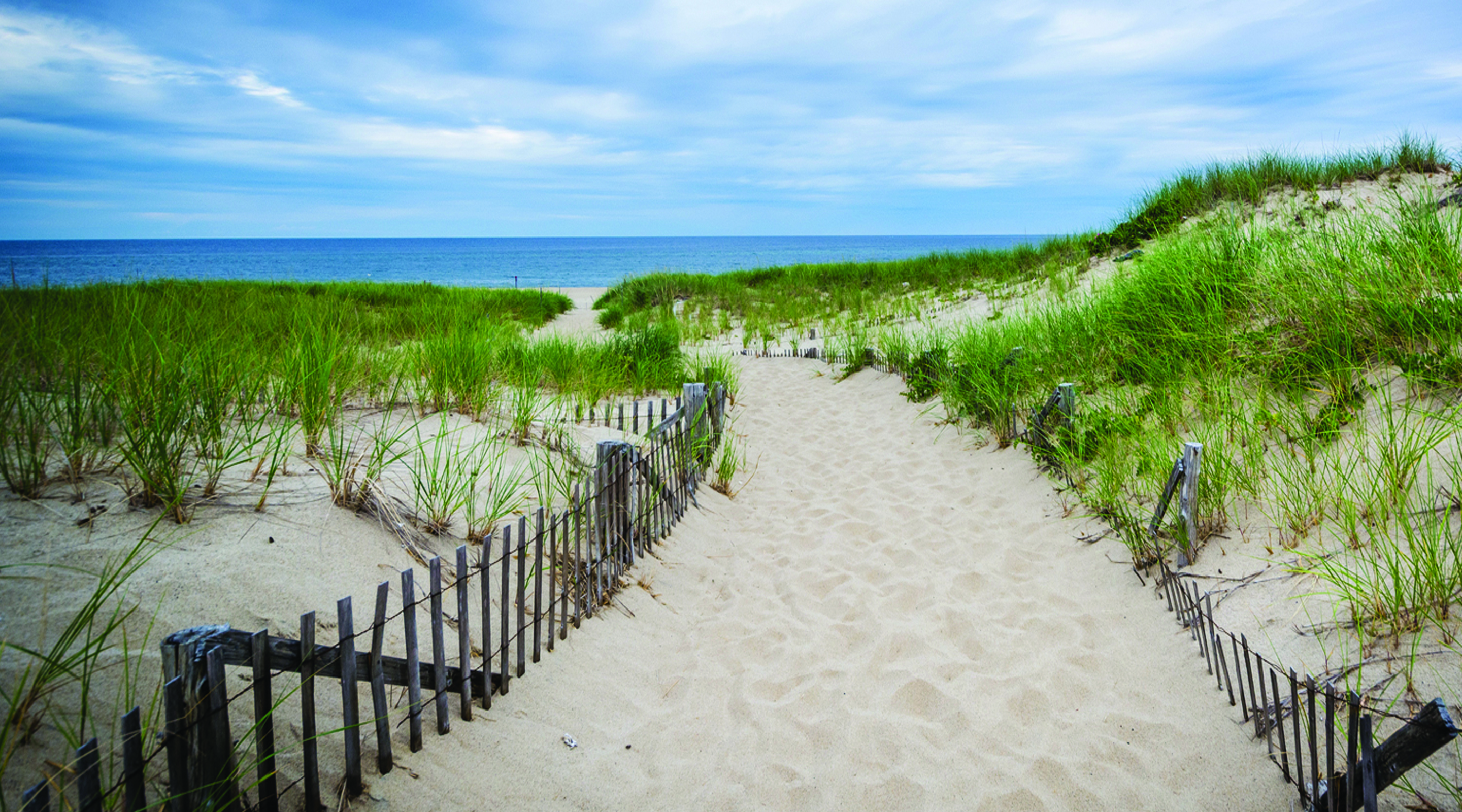 Pathway to a Beach