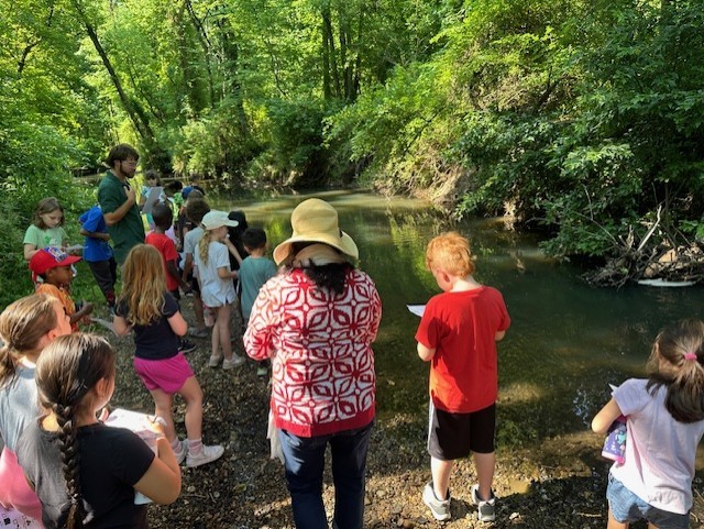 Students by stream