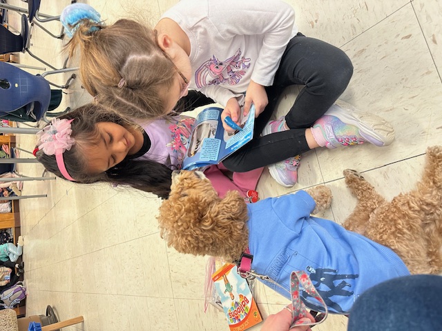 Phoebe the therapy dog with students at AWR