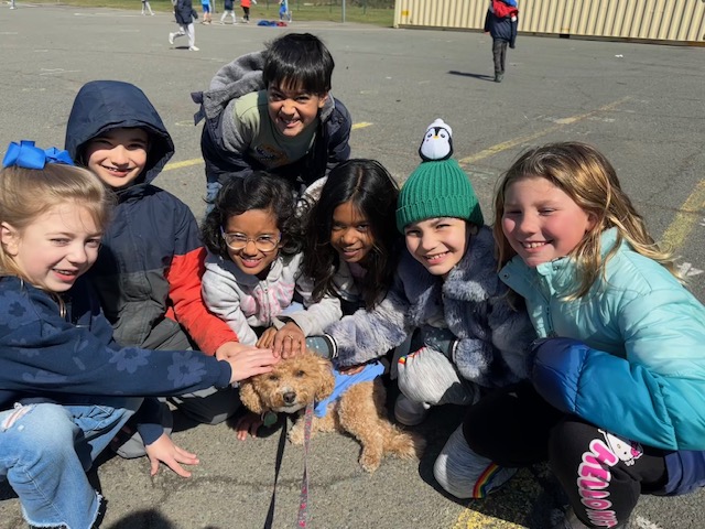 Phoebe the therapy dog with students at AWR