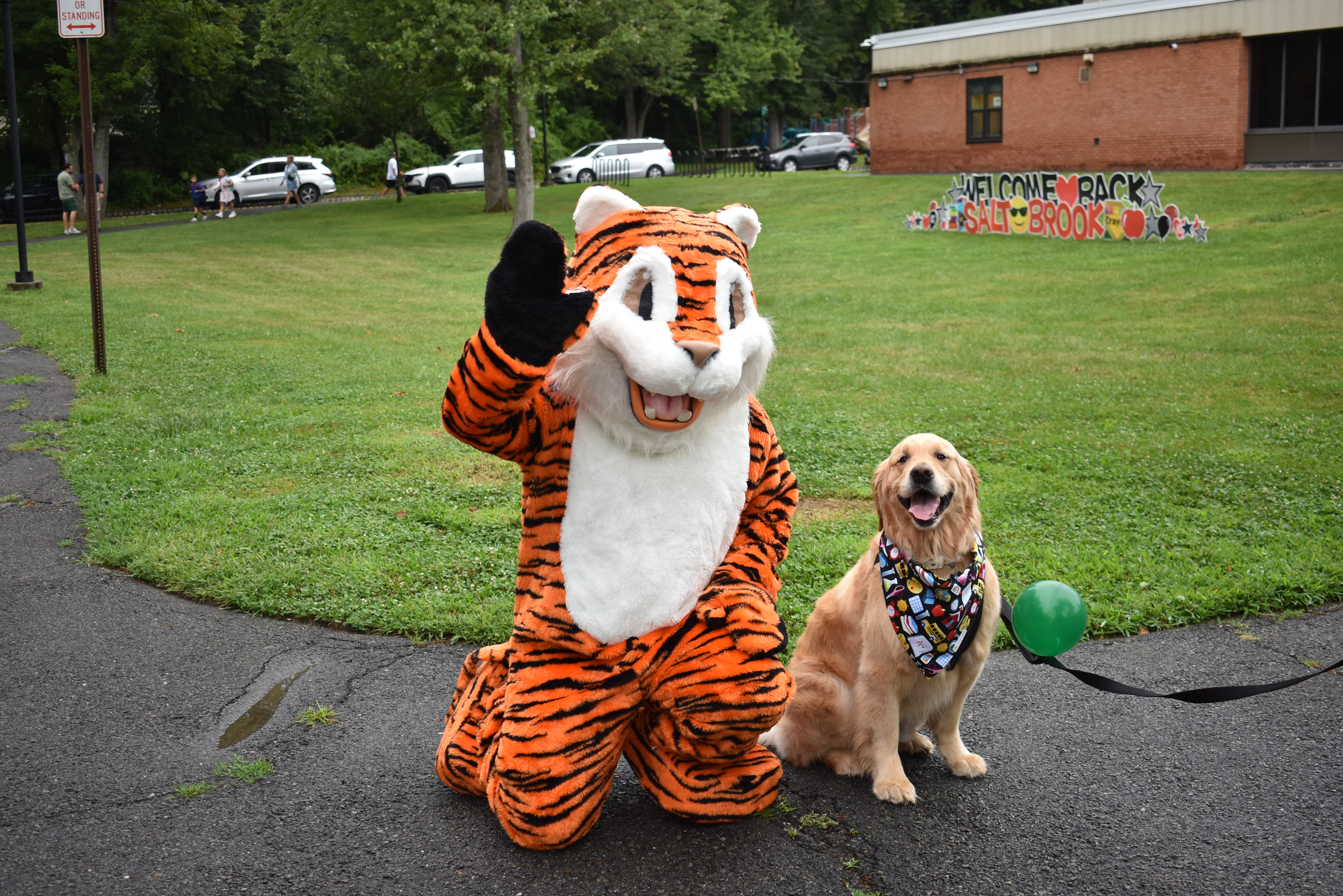 SB Tiger and Bailey the therapy dog