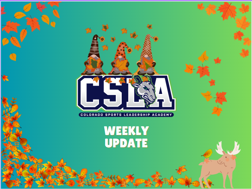CSLA's November Newsletter | News and Views from Harris Park