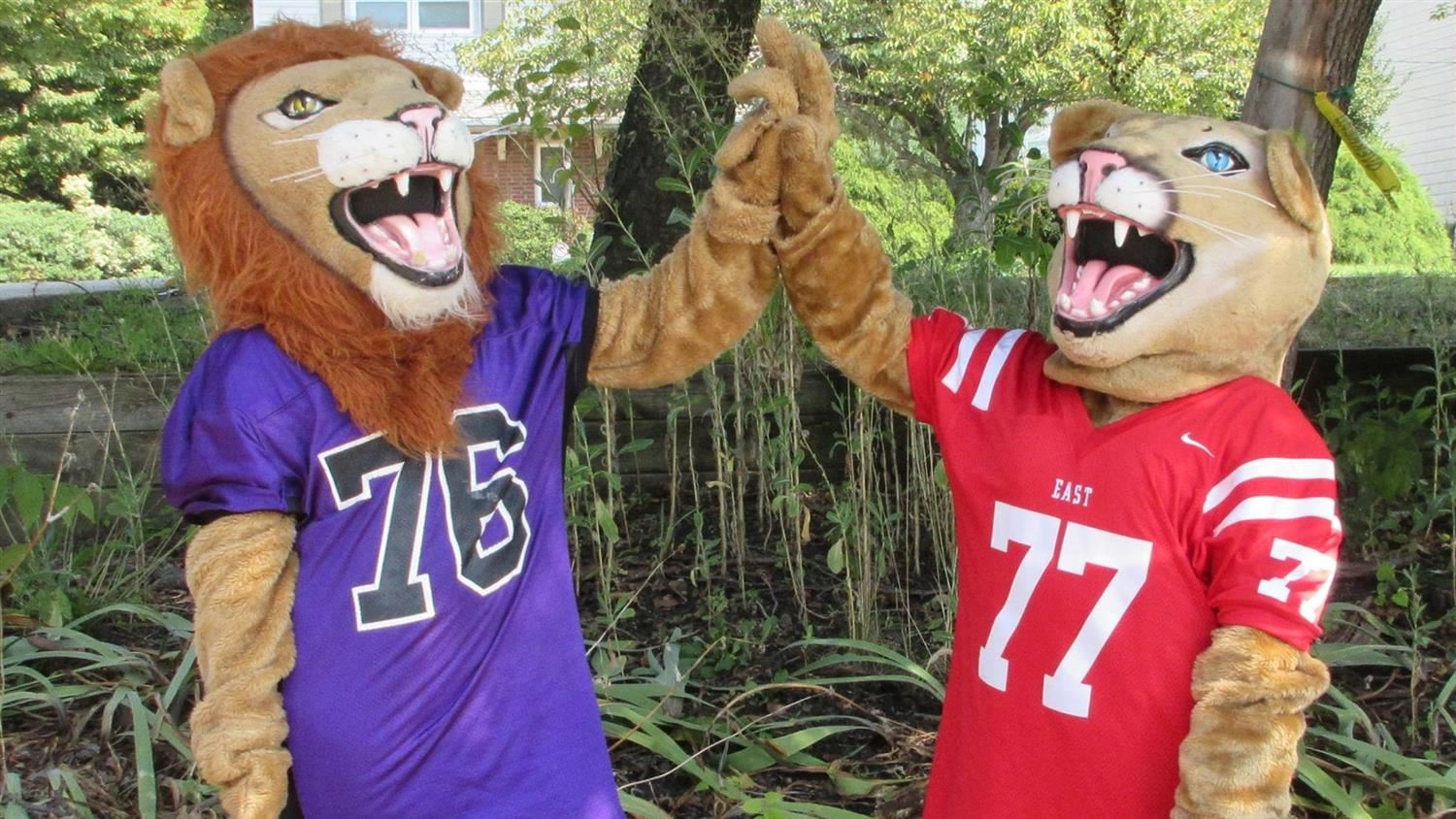 Mascots Westley and Crimson high-fiving