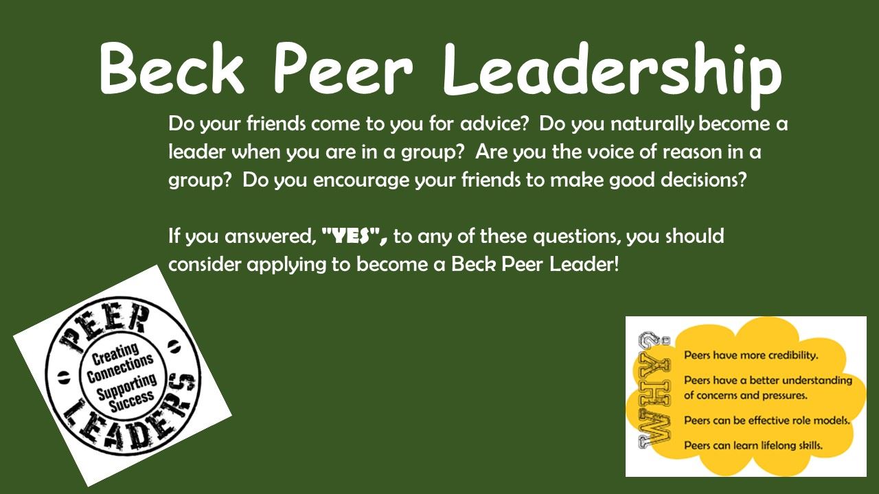 Peer Leadership