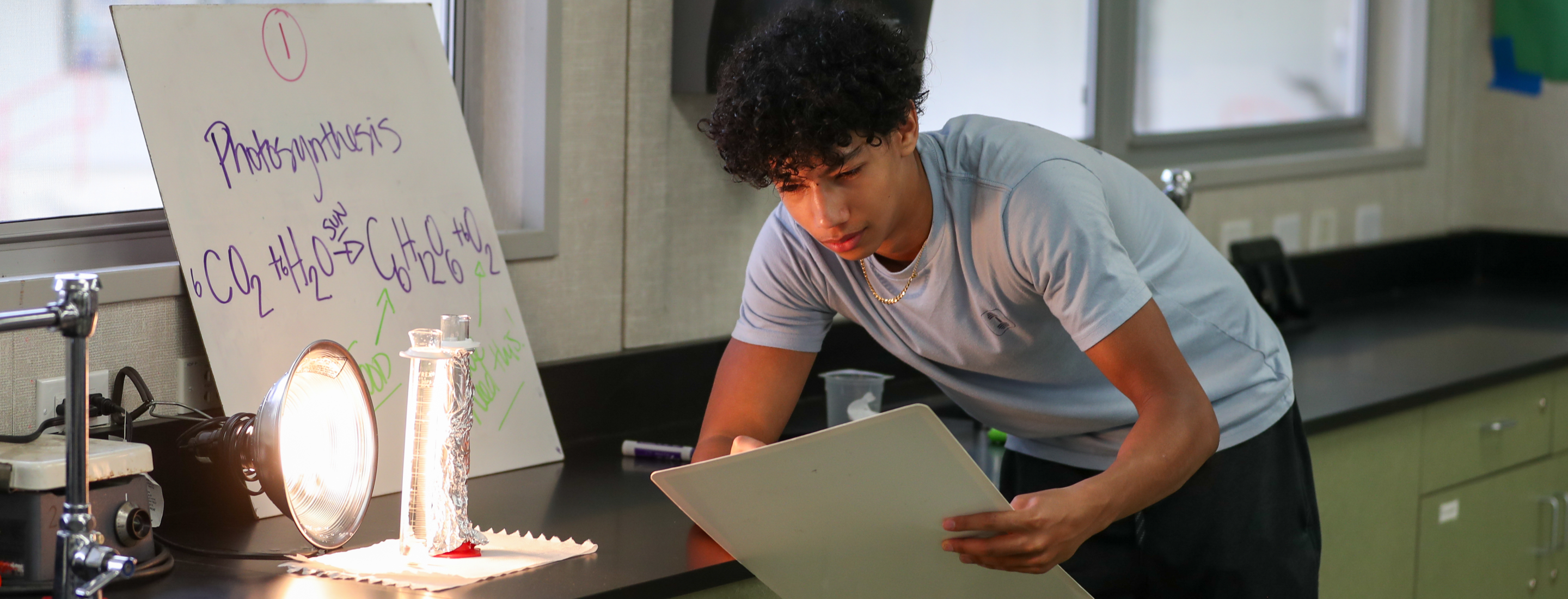 A young man with curly hair is intently focused on a laptop computer on a desk, with a whiteboard and other office supplies visible in the background.