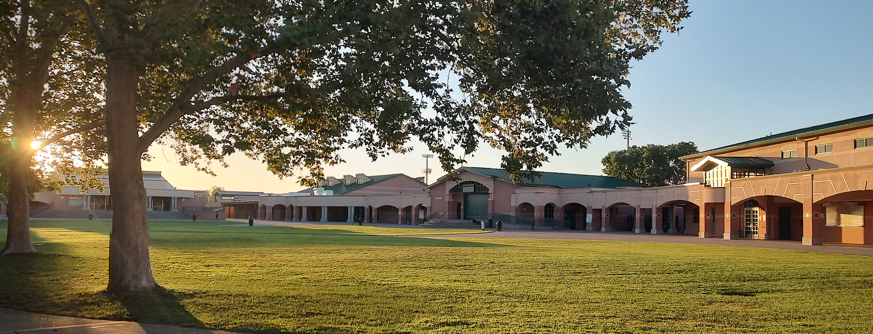 A grassy field with a large tree in the foreground, surrounded by a historic-looking building with arched entryways in the background.