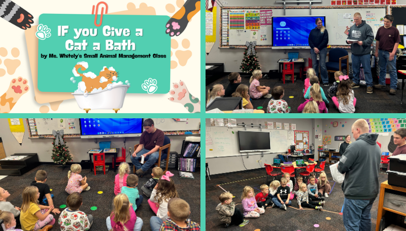 If You Give a Cat a Bath by Mrs. Whitely's Small Animal Management ...