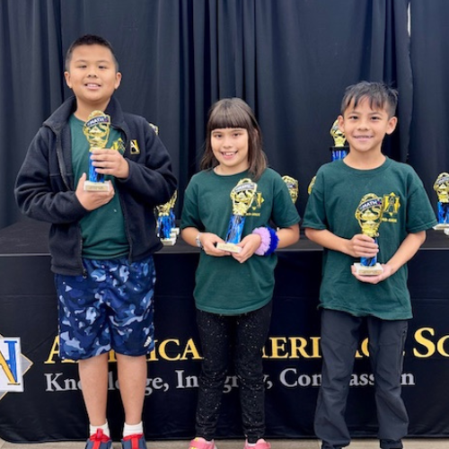 Top Achievements at mathleague.org Competitions | Blog Highlights