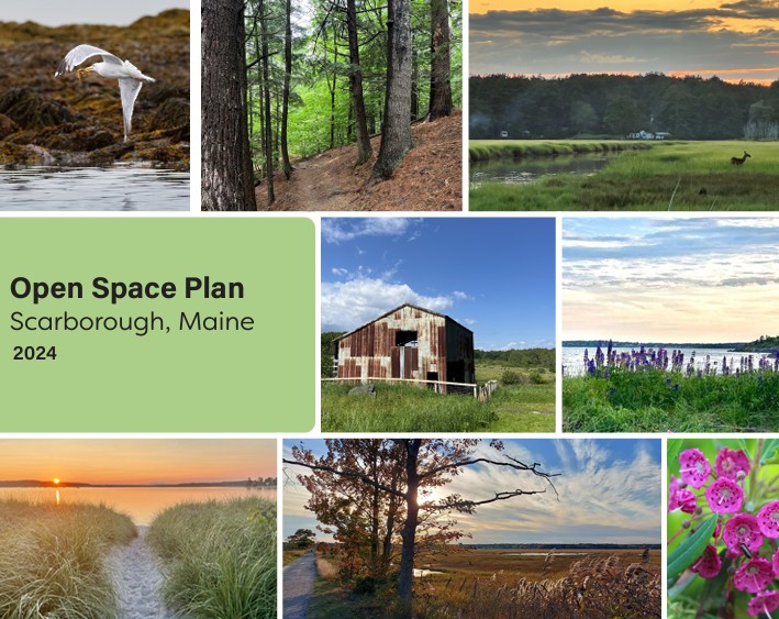 Draft Open Space Plan For Conservation 