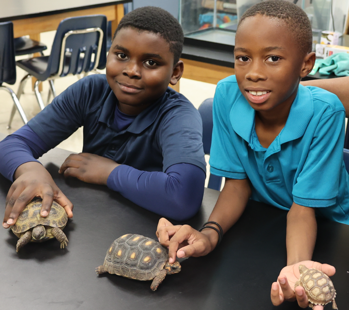 Two young boys are sitting on the floor, each holding a small turtle in their hands. The background appears to be a classroom or educational setting, with chairs and desks visible.