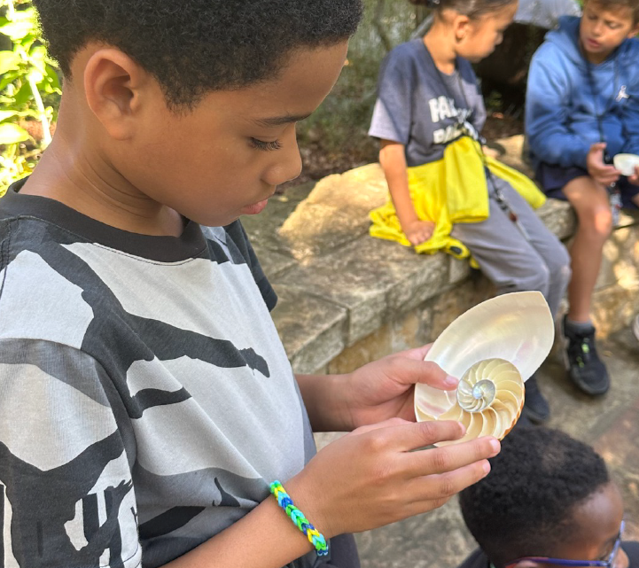 A young boy in a striped shirt is closely examining a nautilus shell, while other children in the background appear to be engaged in outdoor activities.