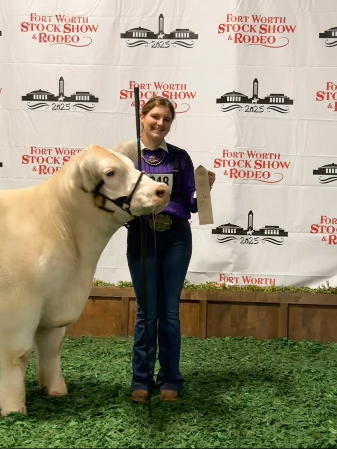 A girl standing next to a cow holding up a ribbon