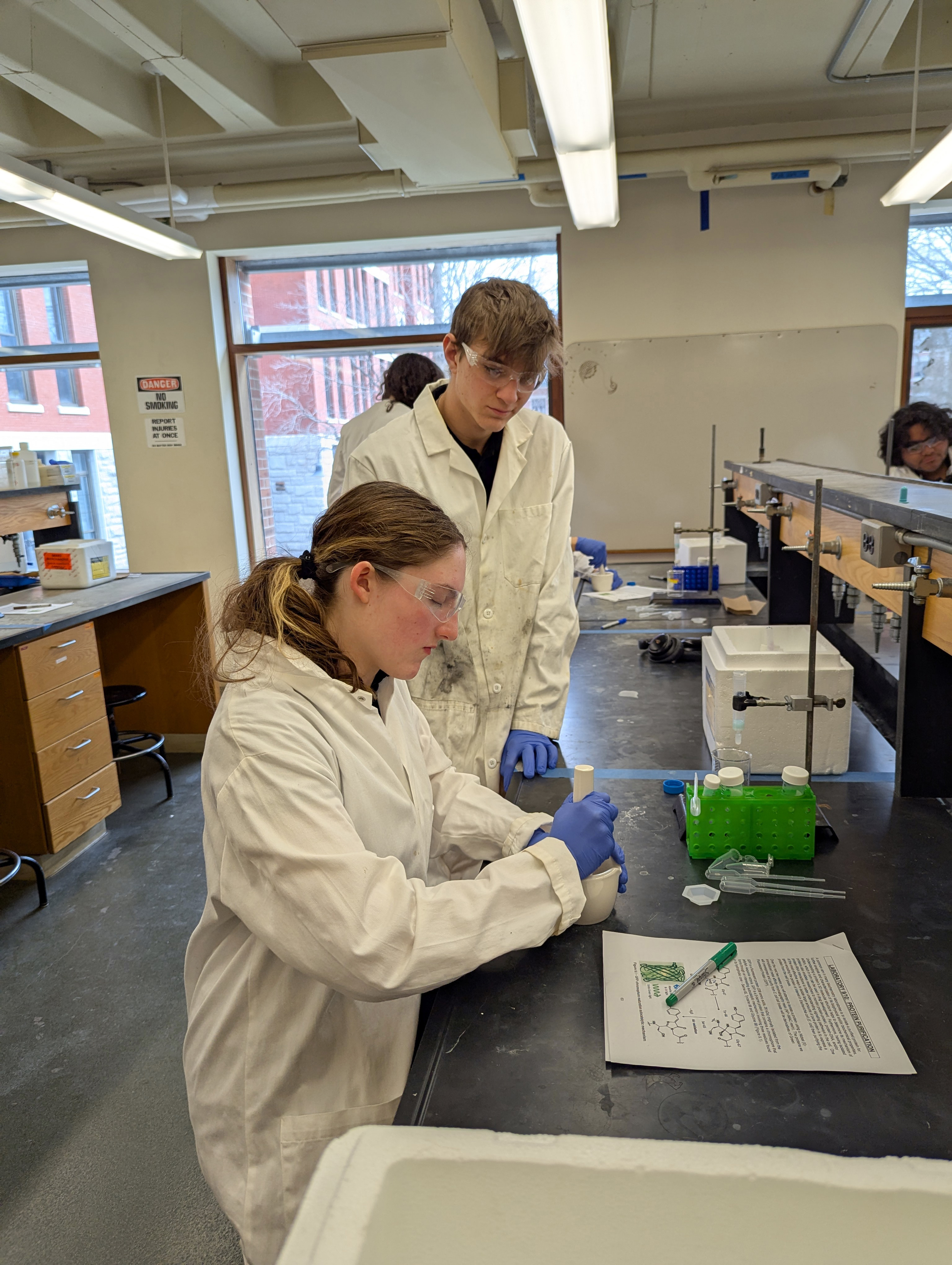 Exploring Molecular Biology News Details Clone Eagle Hill School exploring-molecular-biology-news-details-clone-eagle-hill-school