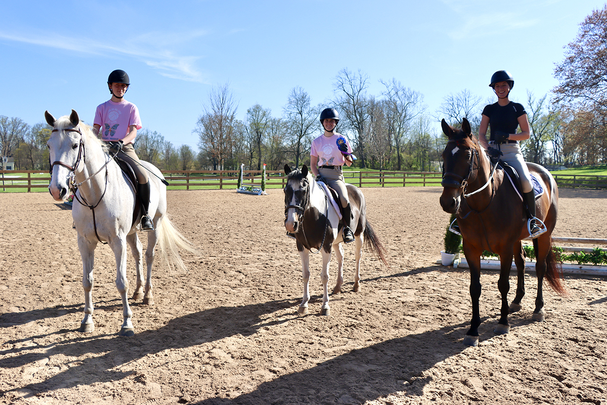 A Foxy Victory for the Fox/Hound Riding Competition | Posts Details