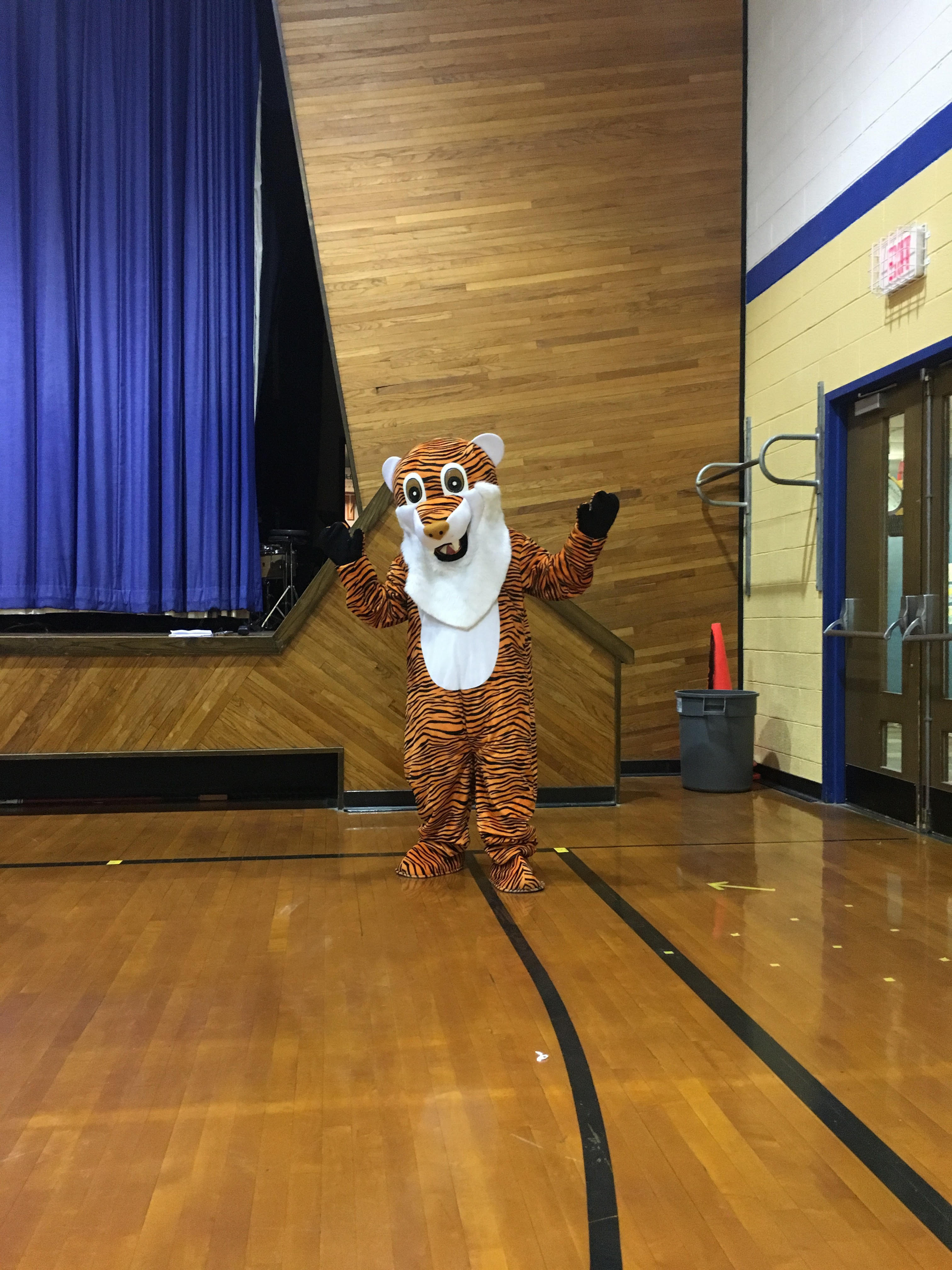 The Tracy Tiger mascot stands in the gymnasium with hands raised above his shoulders.