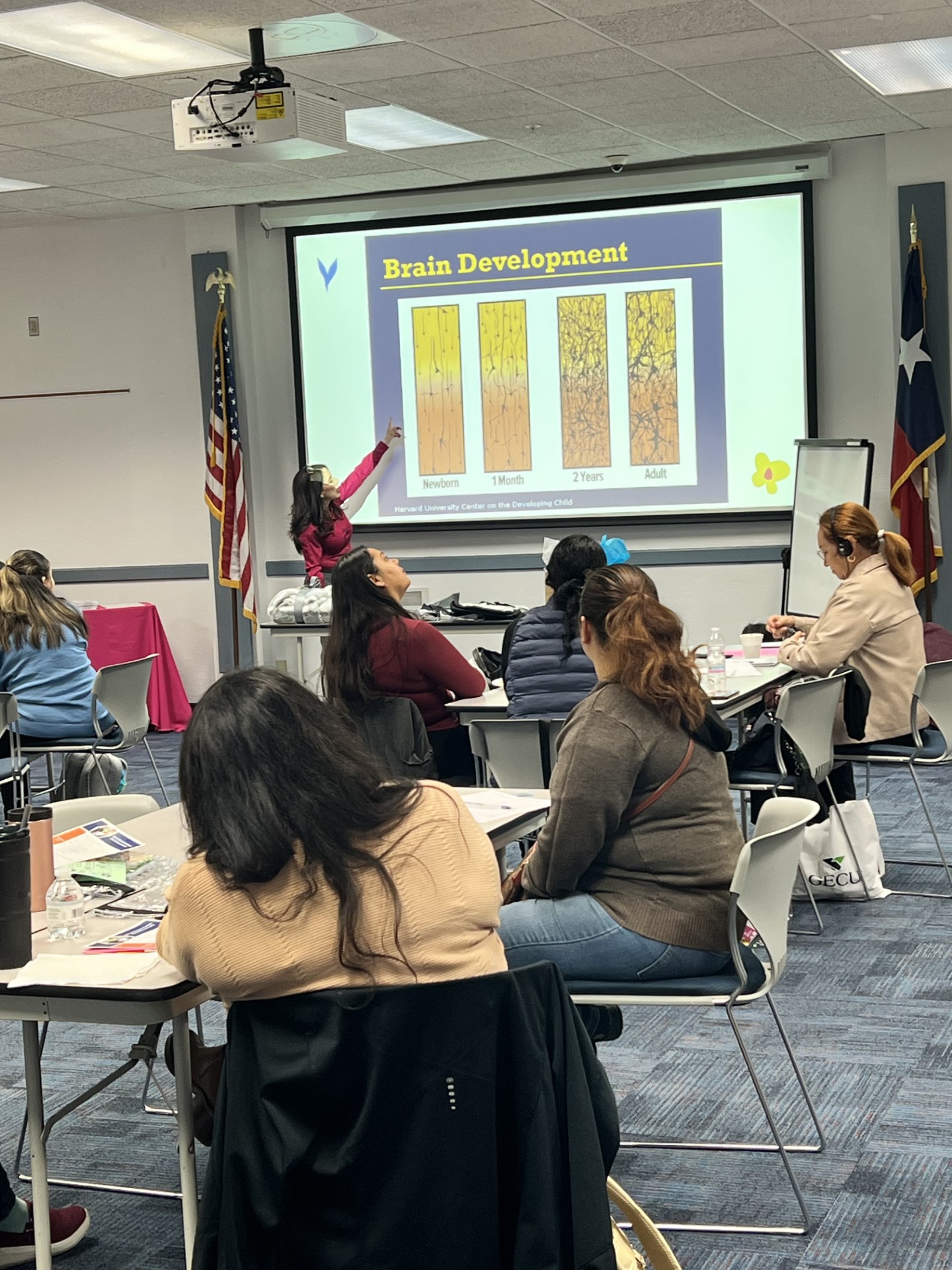 A presenter points to a "Brain Development" slide on a projector screen in the background, while a group of people sit at tables in the foreground, attending a presentation.