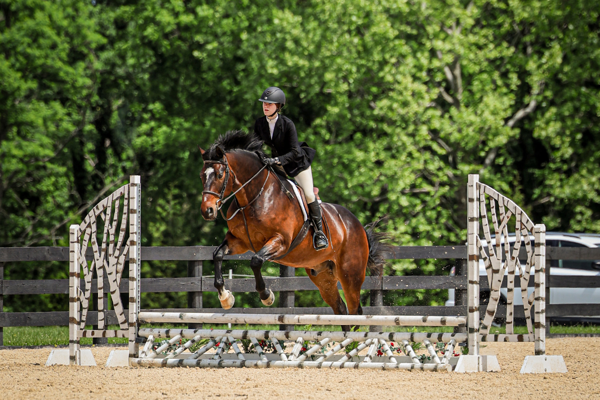 Riding Program Jumps Right into the Spring Show Season | Posts Details