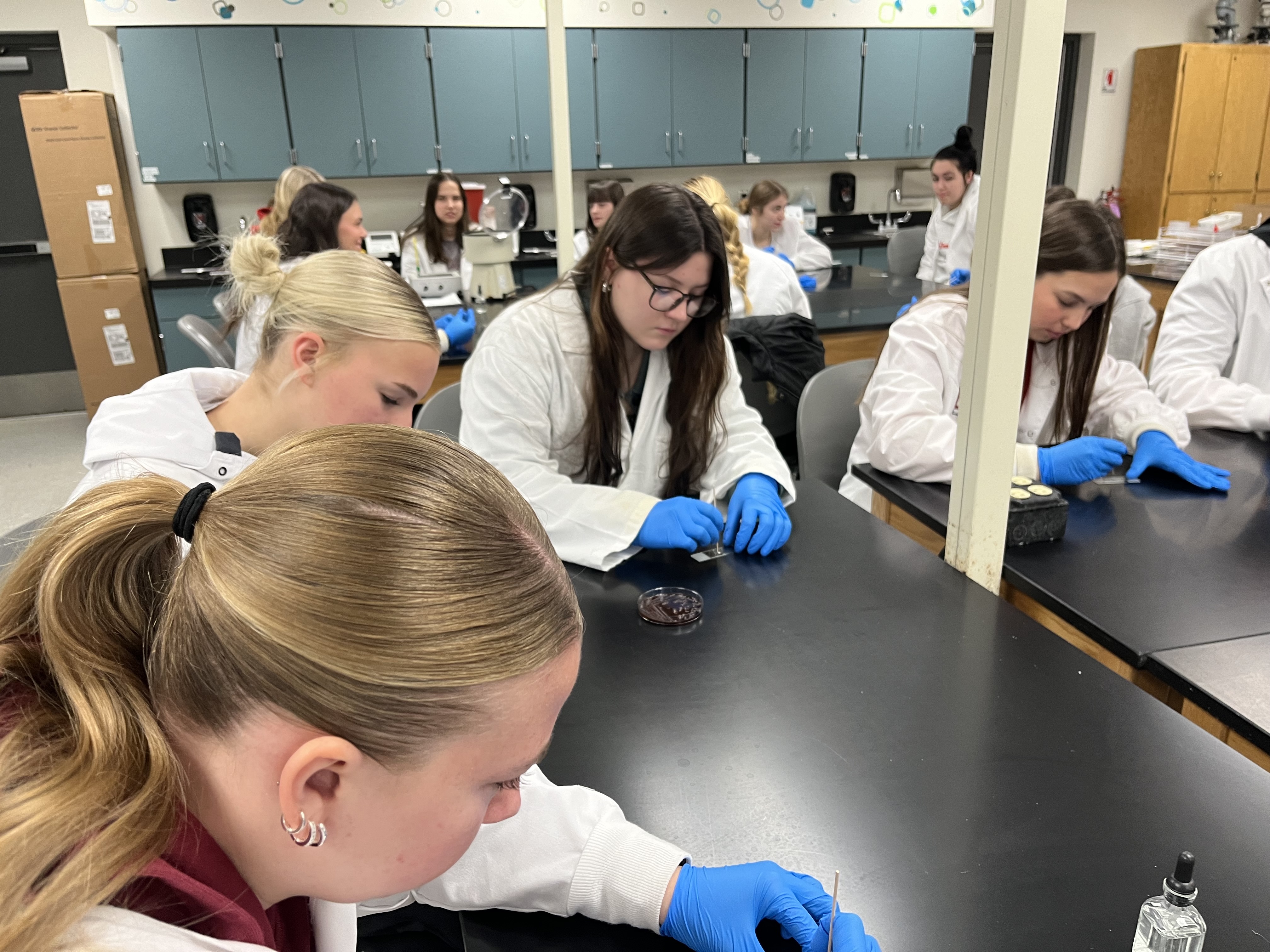 Medical Careers students
