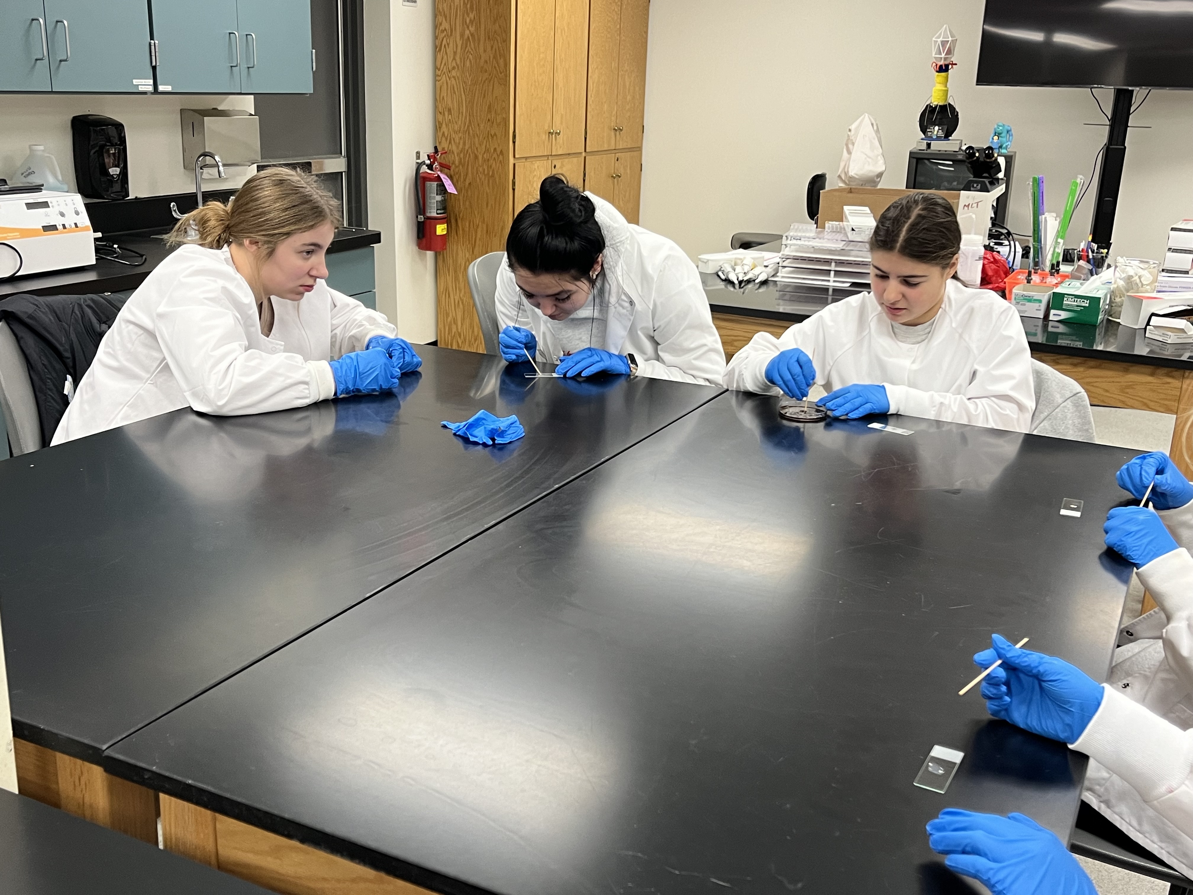 Medical Careers students