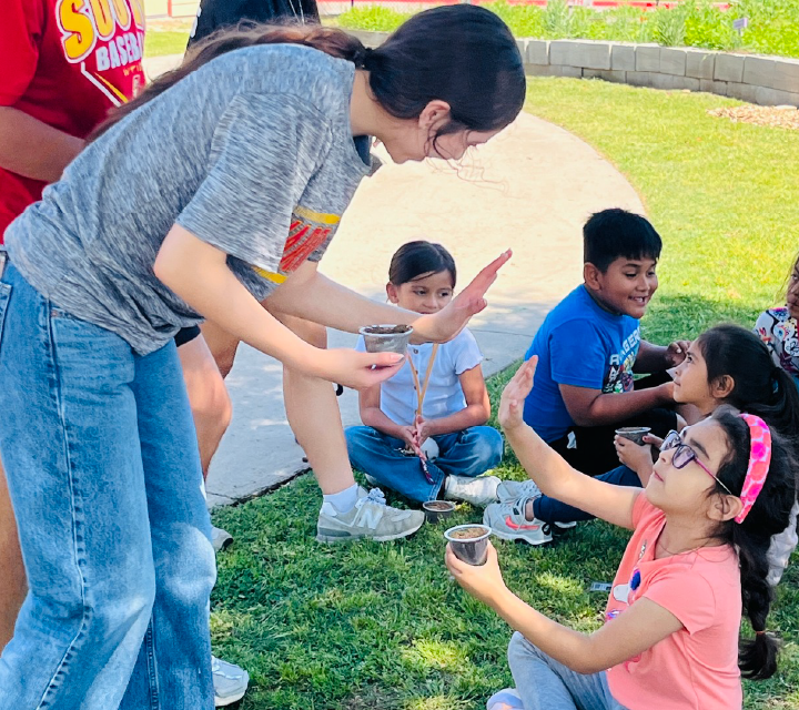 A group of children and an adult are gathered on a grassy area, engaged in an activity or conversation, with a brick wall and greenery visible in the background.