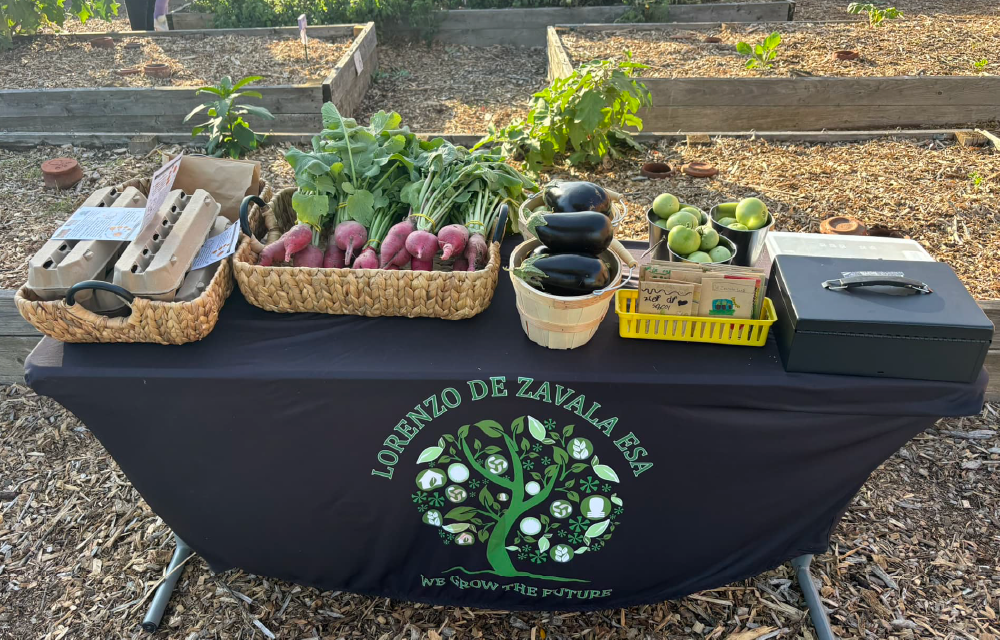 A display of various fresh vegetables and produce, including radishes, greens, and other items, arranged on a table with a logo for a local farm or community garden in the background.