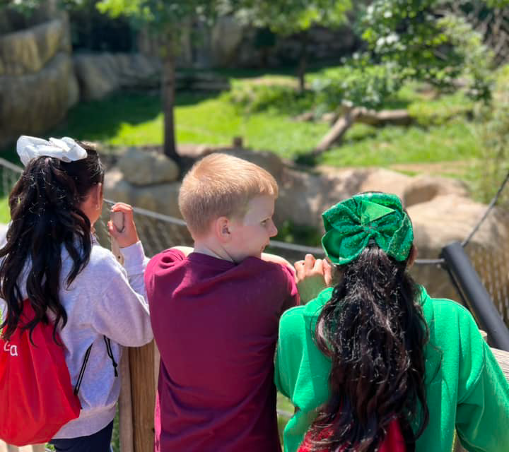 The image shows three children, two girls and one boy, standing together and looking out at a lush, green outdoor environment with trees and foliage in the background.