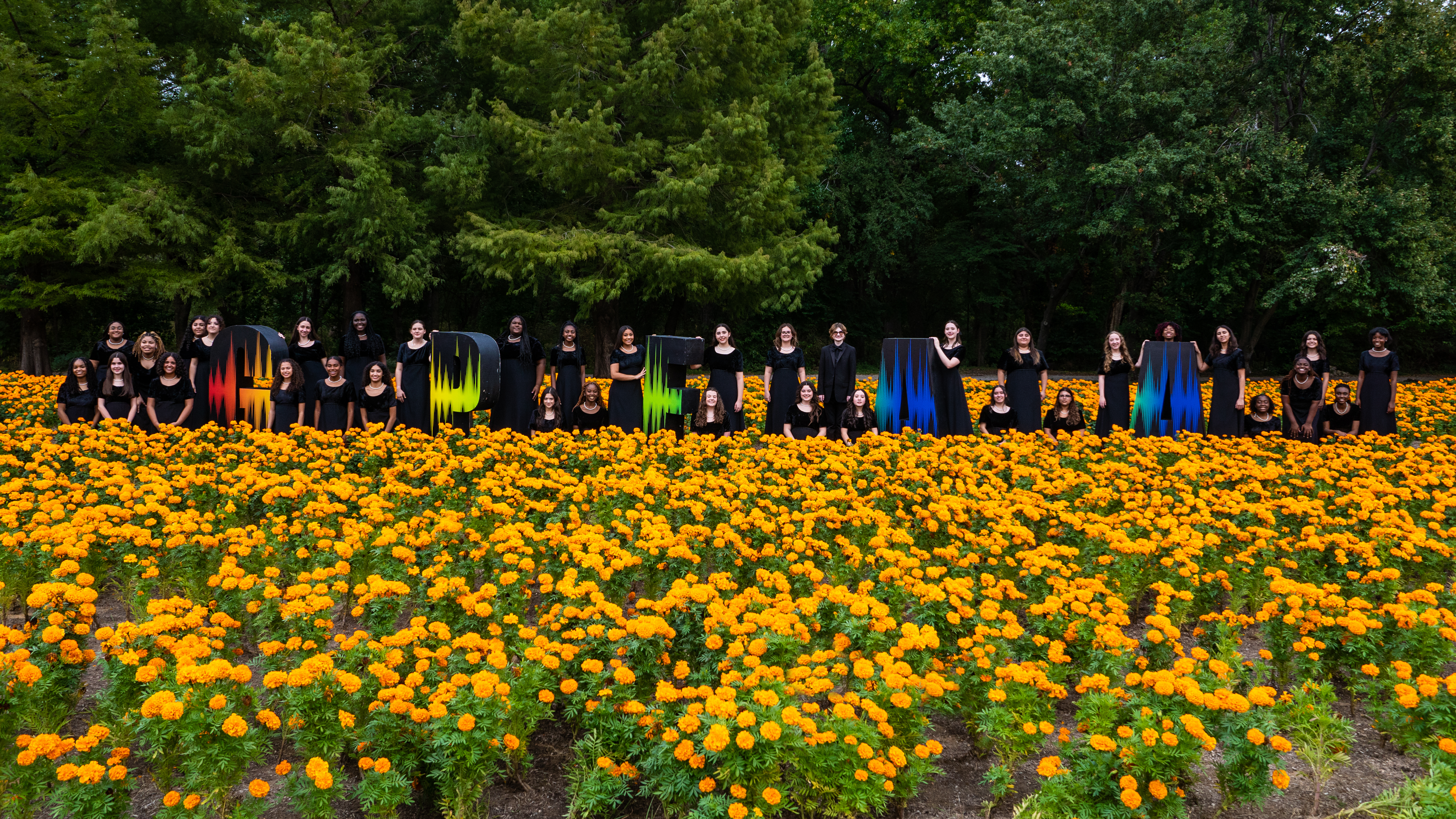 A field of vibrant yellow tulips in the foreground, with a group of people in graduation gowns and caps standing in the background against a backdrop of lush green foliage.