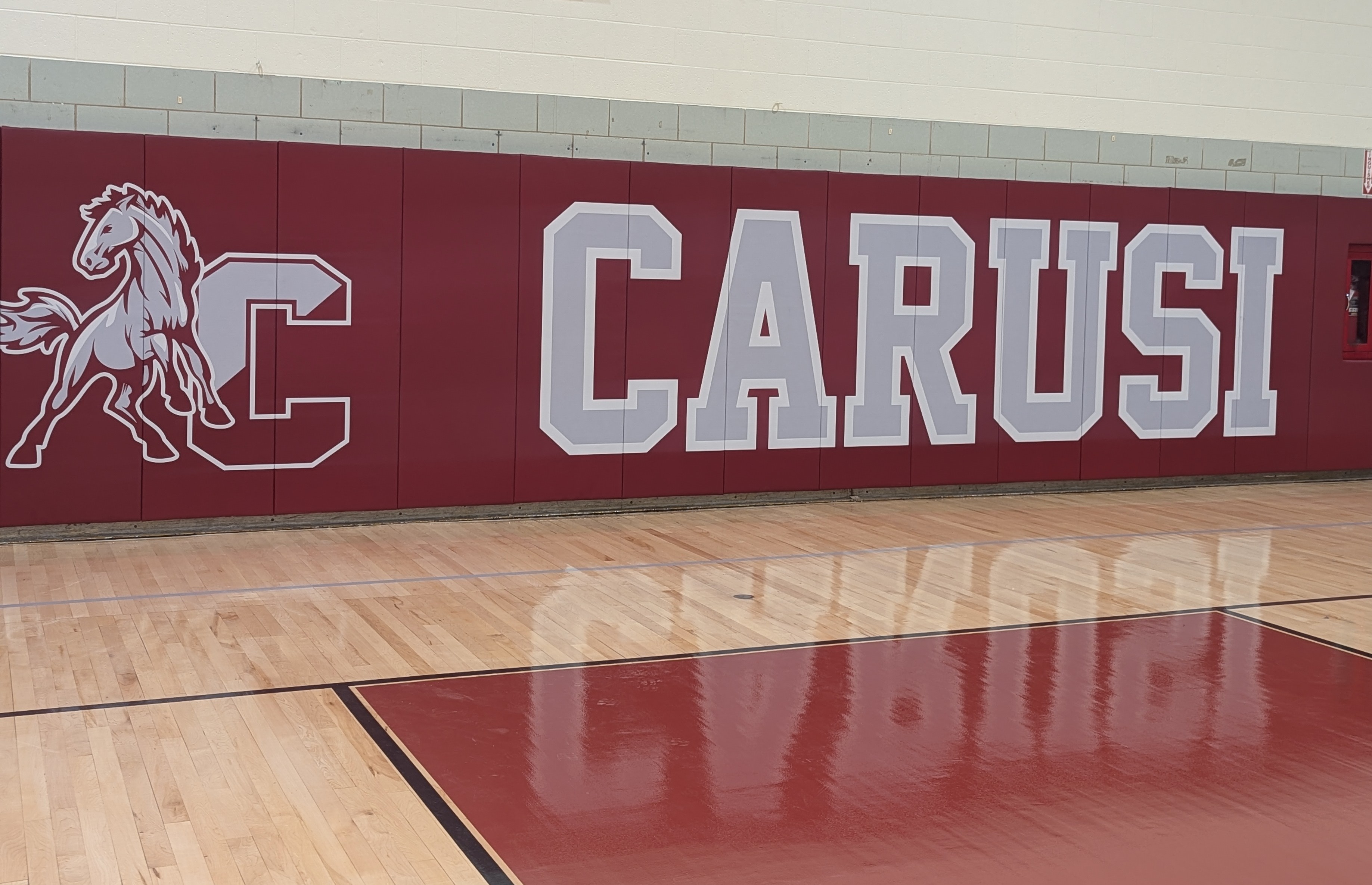 Photo of Carusi Gymnasium