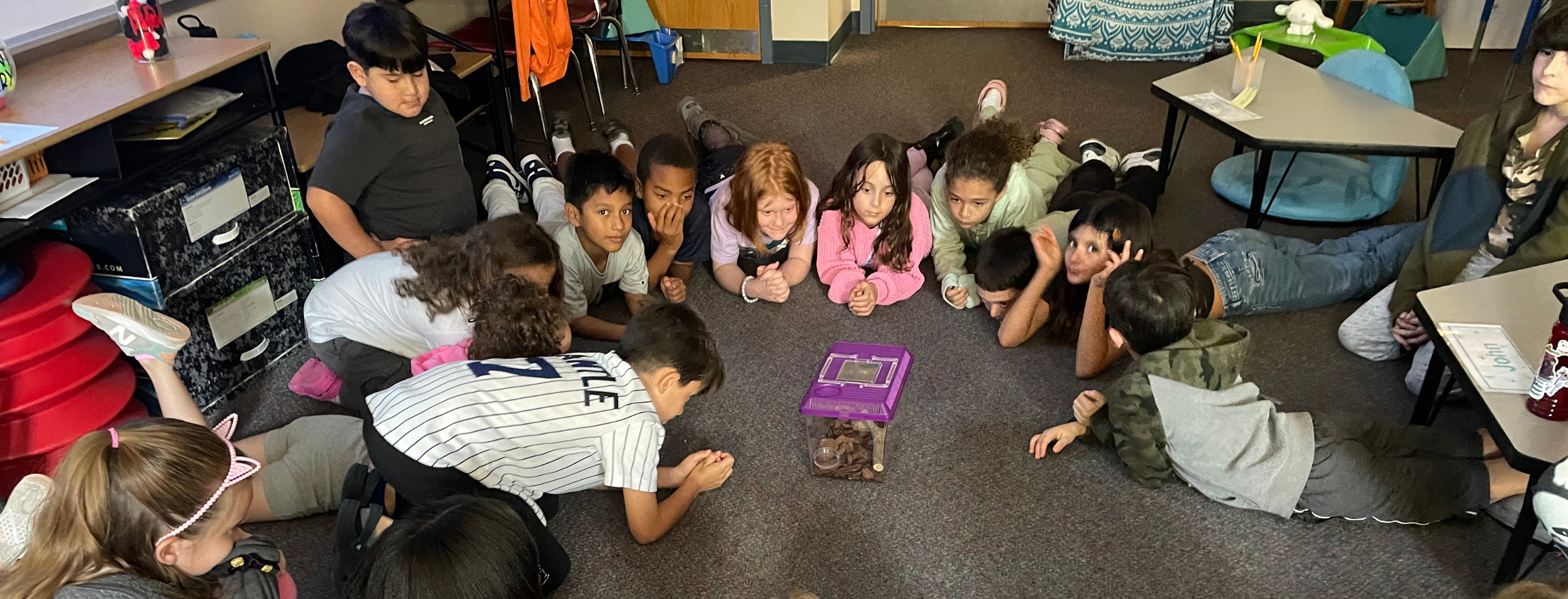 Students gathered around class pet