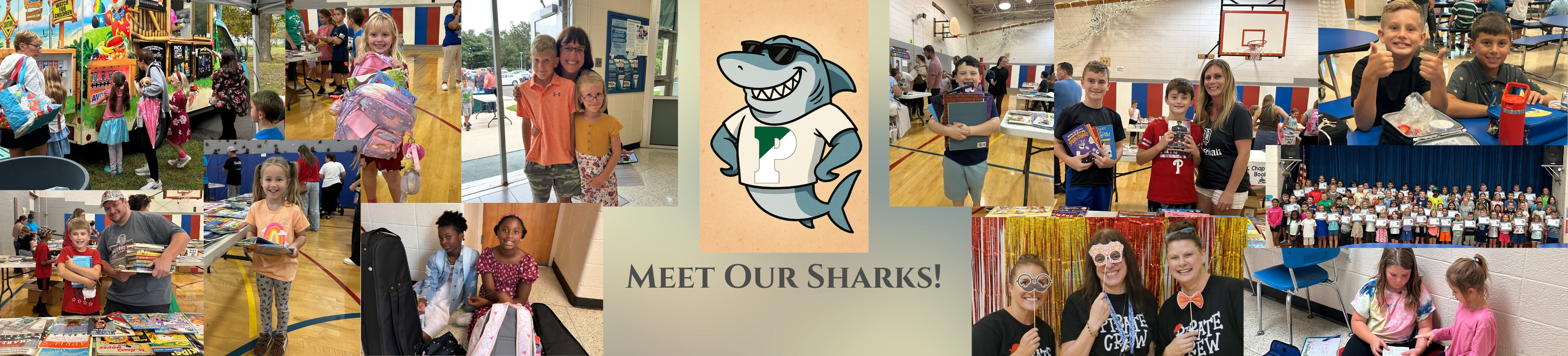 Meet Our Sharks