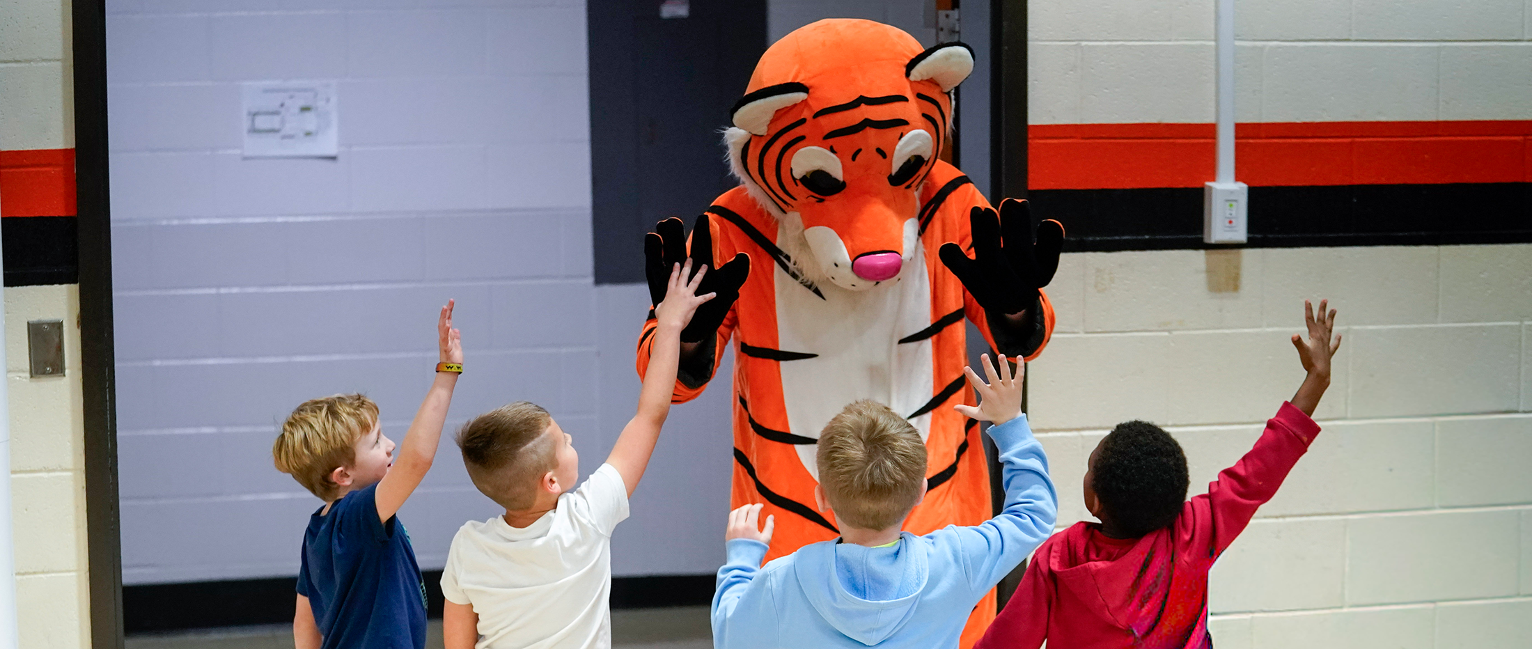 Tiger mascot greets four little boys with hands raised