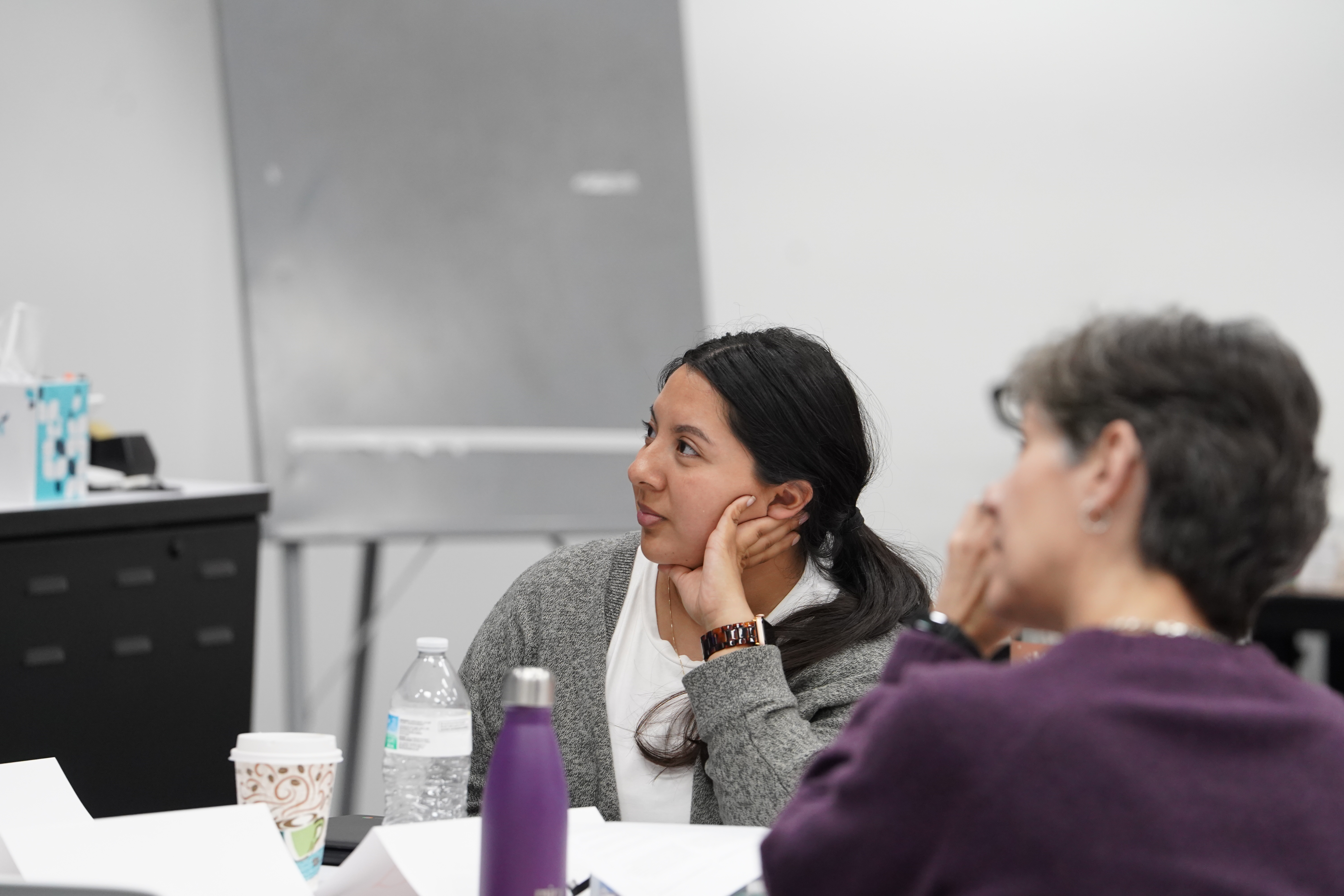 Photo of participants in a LOTE session