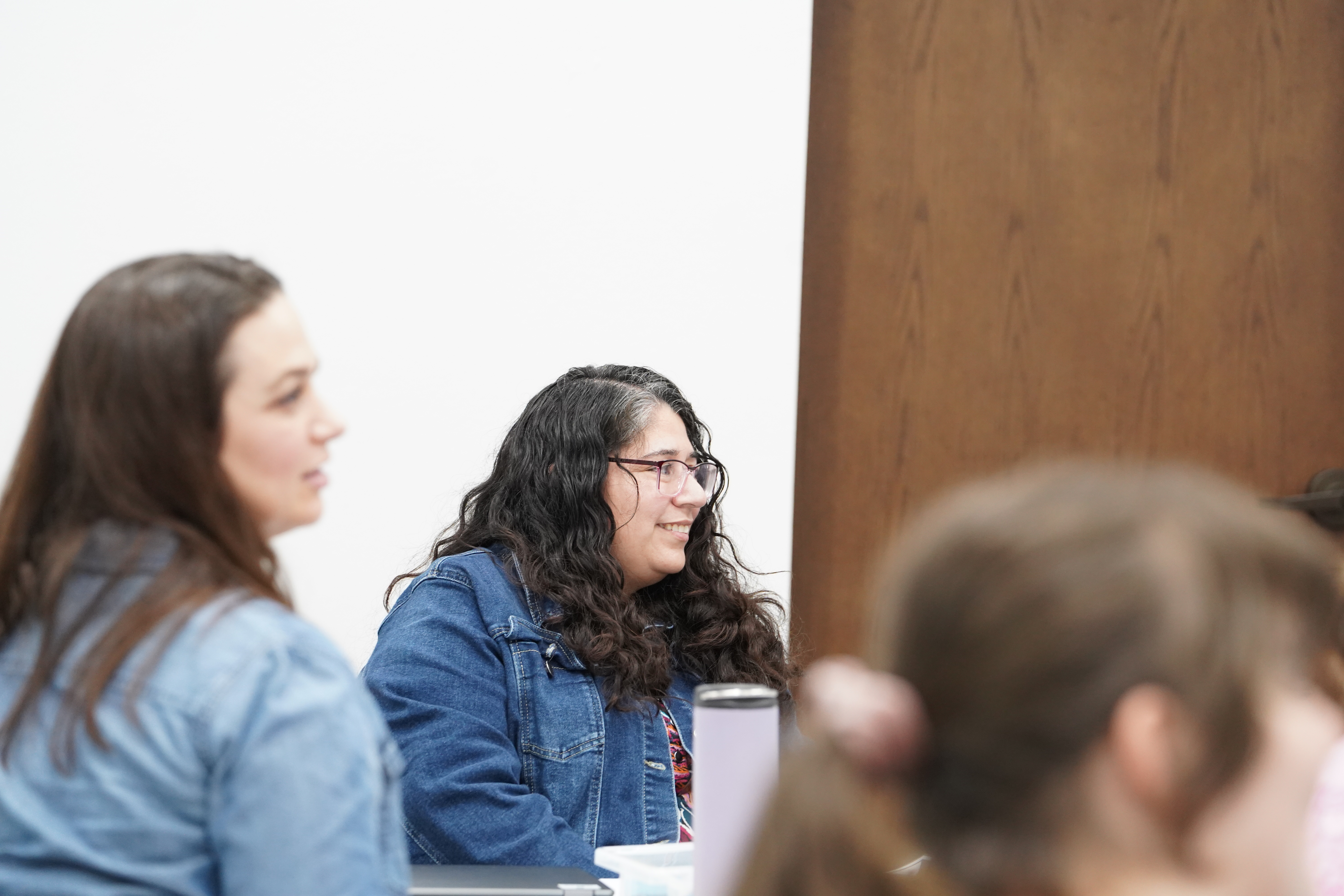 Photo of participants in a LOTE session