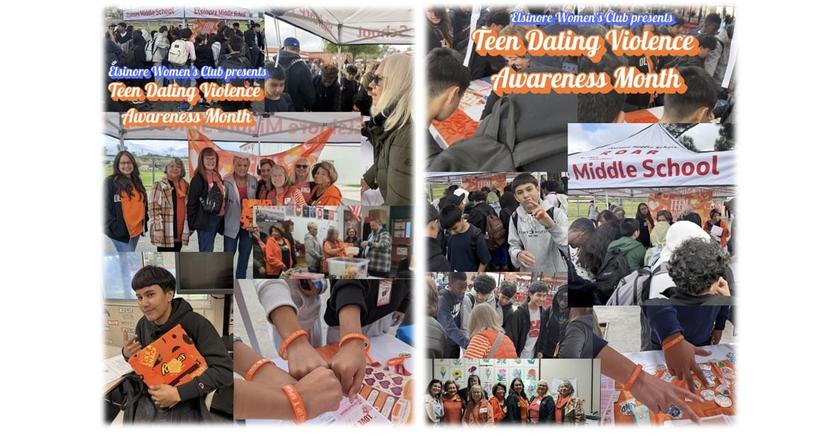 Teen Dating Violence Awareness Month (Feb 2026)