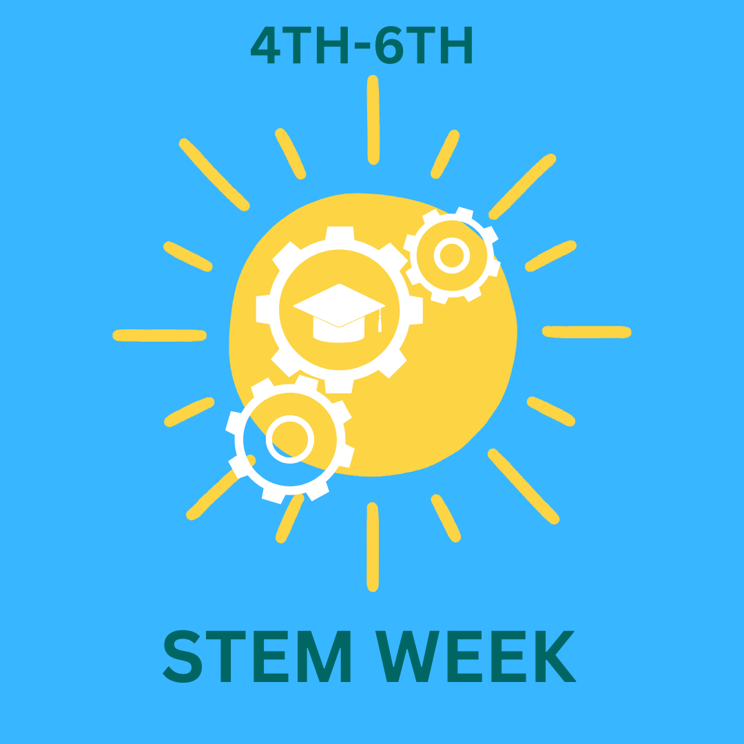 STEM Week: Ultimate Theme Park Challenge | News Details