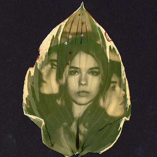 Upper School Photography Students Recognized by the Scholastic Art ...