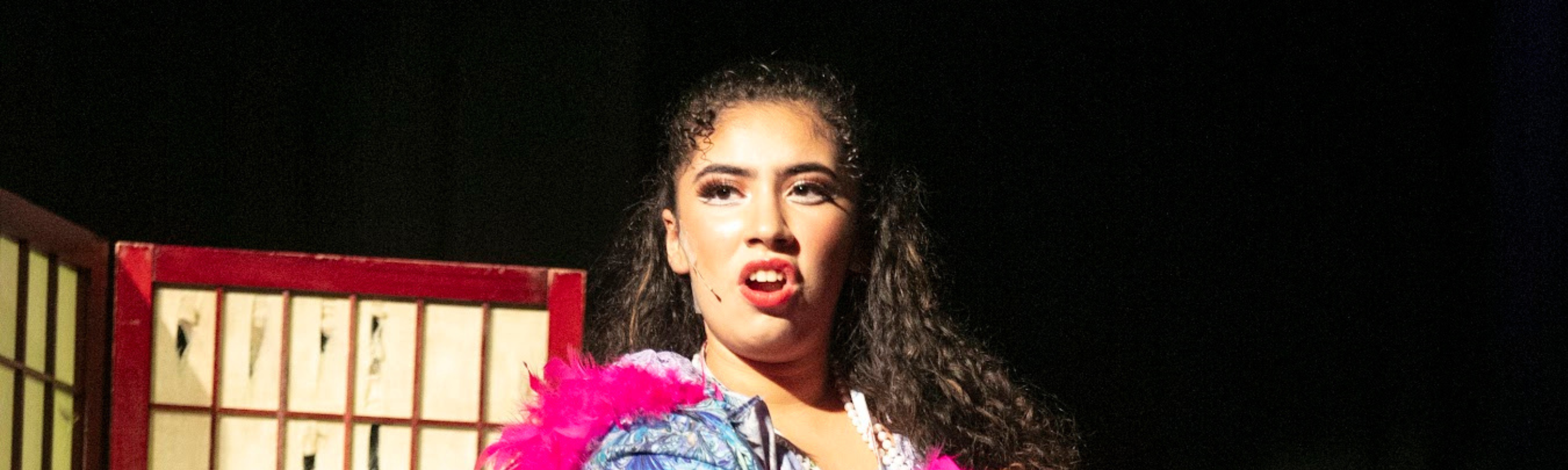 A young woman with curly hair and dramatic makeup, wearing a pink boa and a patterned top, stands against a dark background with a red-framed object to her left.
