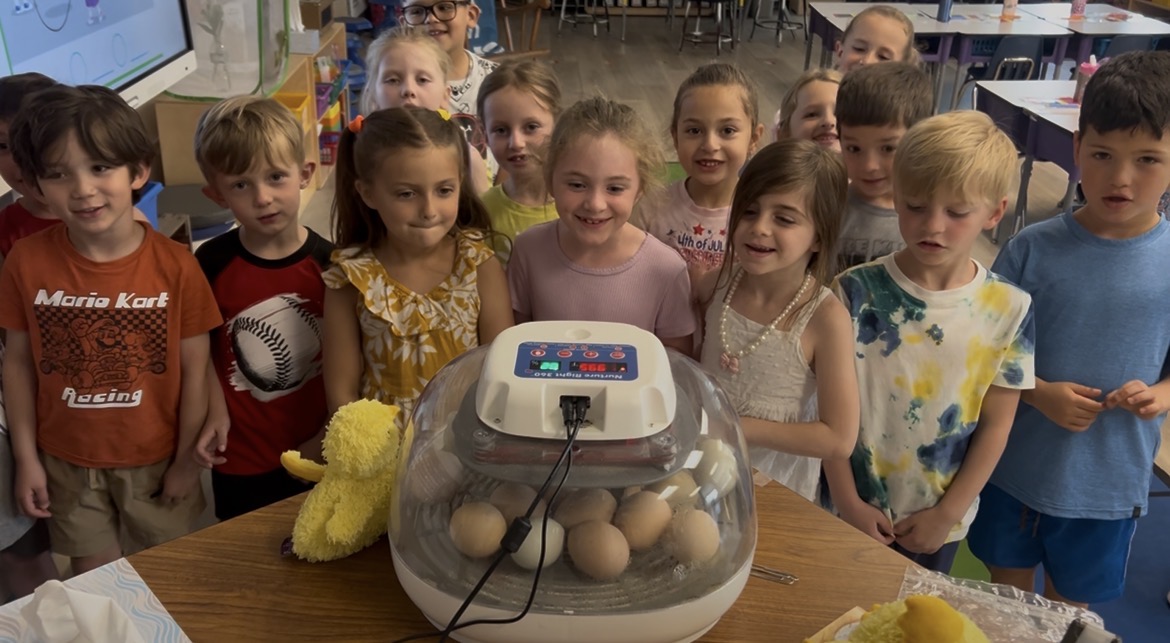 Park Avenue kindergarten students welcome spring chickens | Post