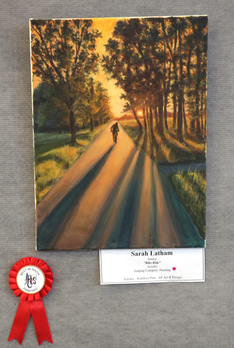 A lone cyclist rides down a sun-drenched road lined with trees, casting long shadows across the path, with a red ribbon and award label at the bottom.