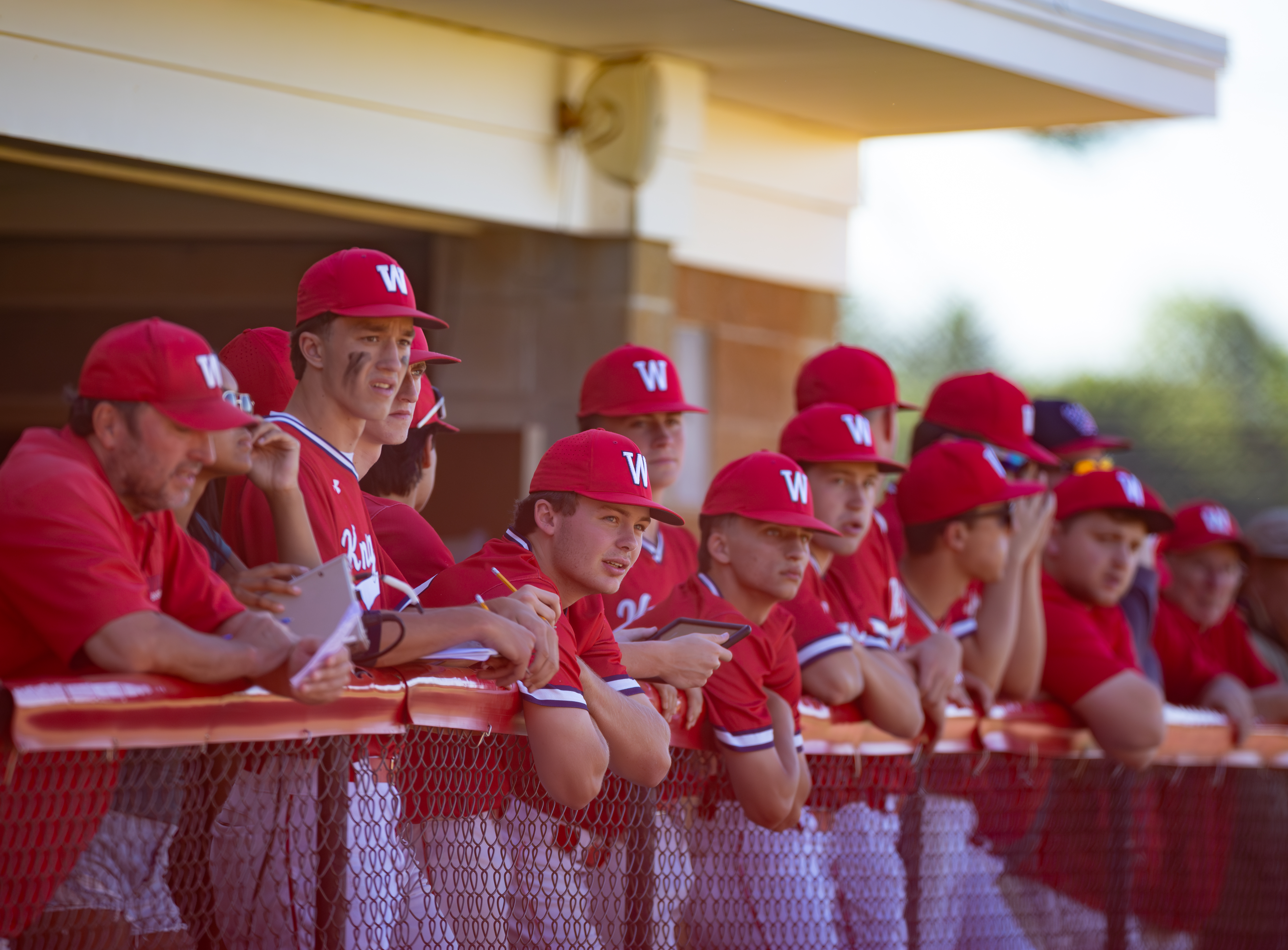 A group of young baseball players in red uniforms with white "W" logos watch the game from the dugout, with a blurred background of a baseball field.