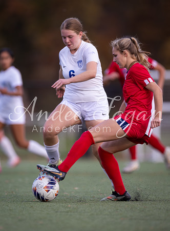 Two female soccer players, one in white and one in red, vie for the ball on a green field with blurred figures in the background.