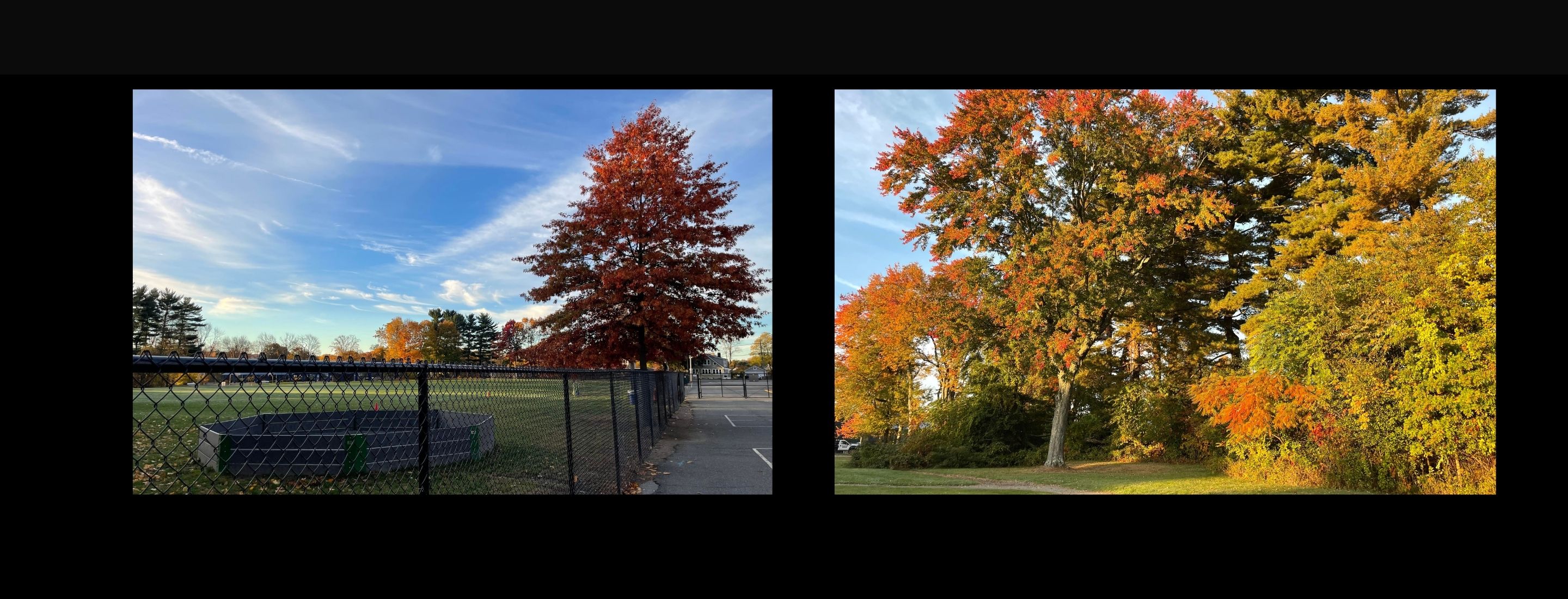 On the left, the gaga pit in the fall. On the right, trees with fall foliage.