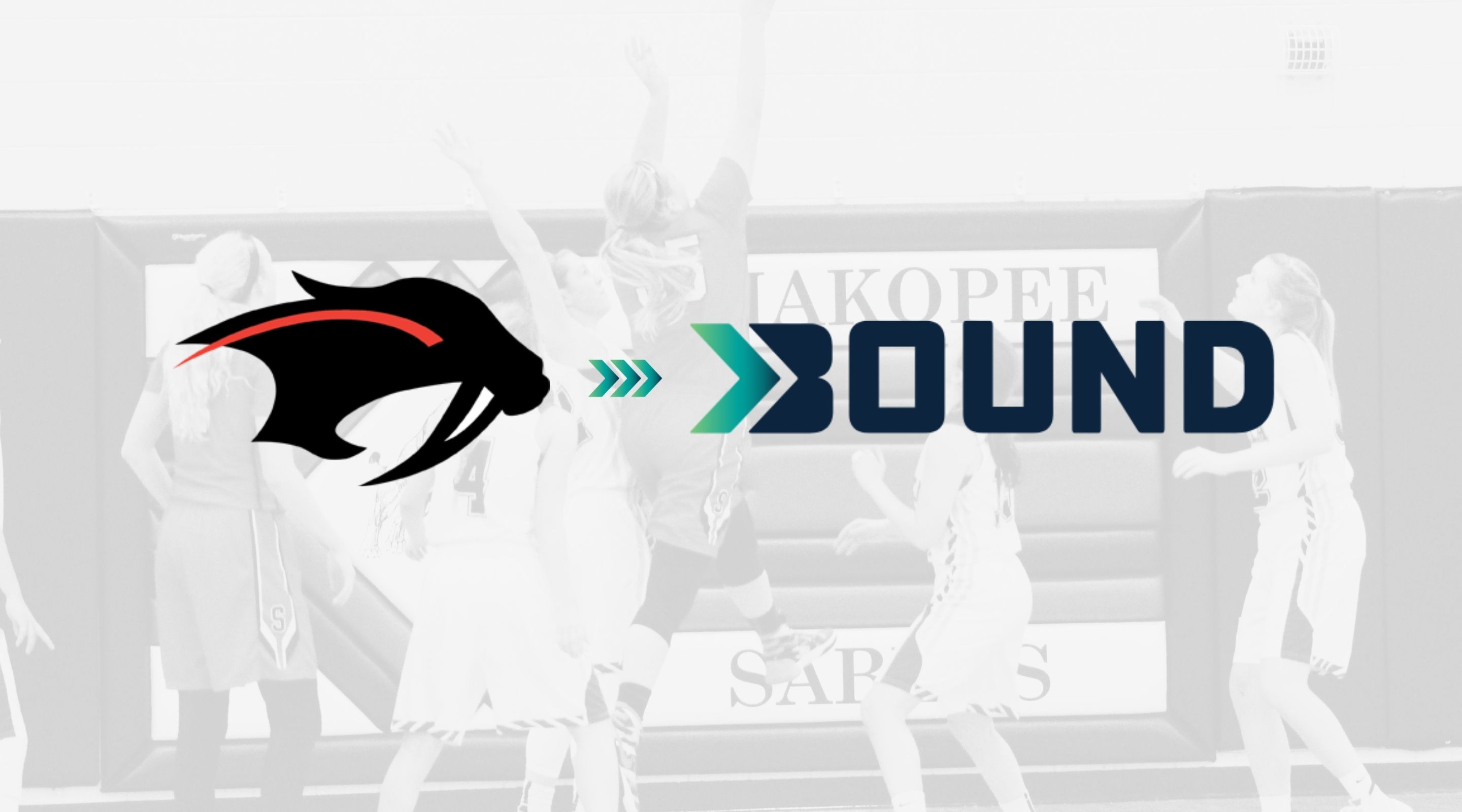 A black panther logo and "BOUND" text are superimposed over a faded image of a basketball game.
