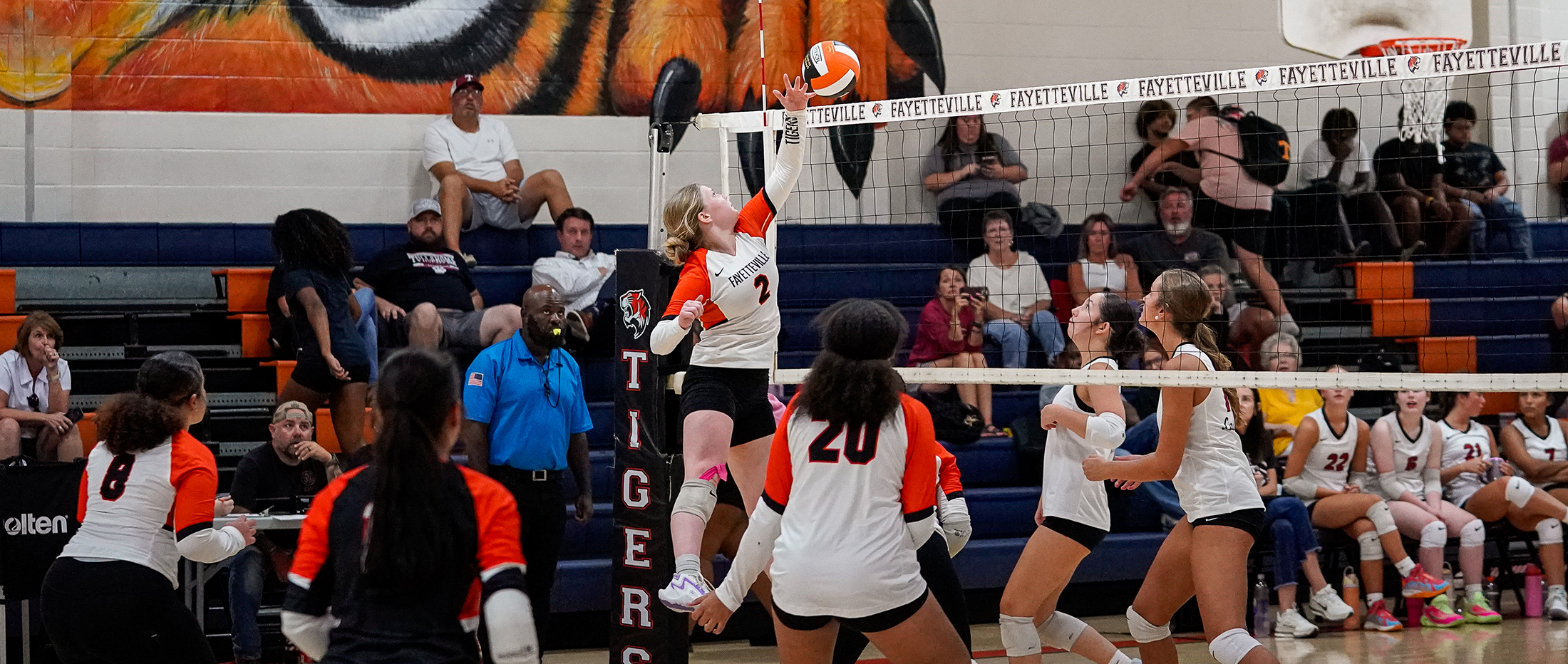 Players in white and orange uniforms compete in a volleyball game with spectators watching from bleachers in the background, under a large tiger mural.