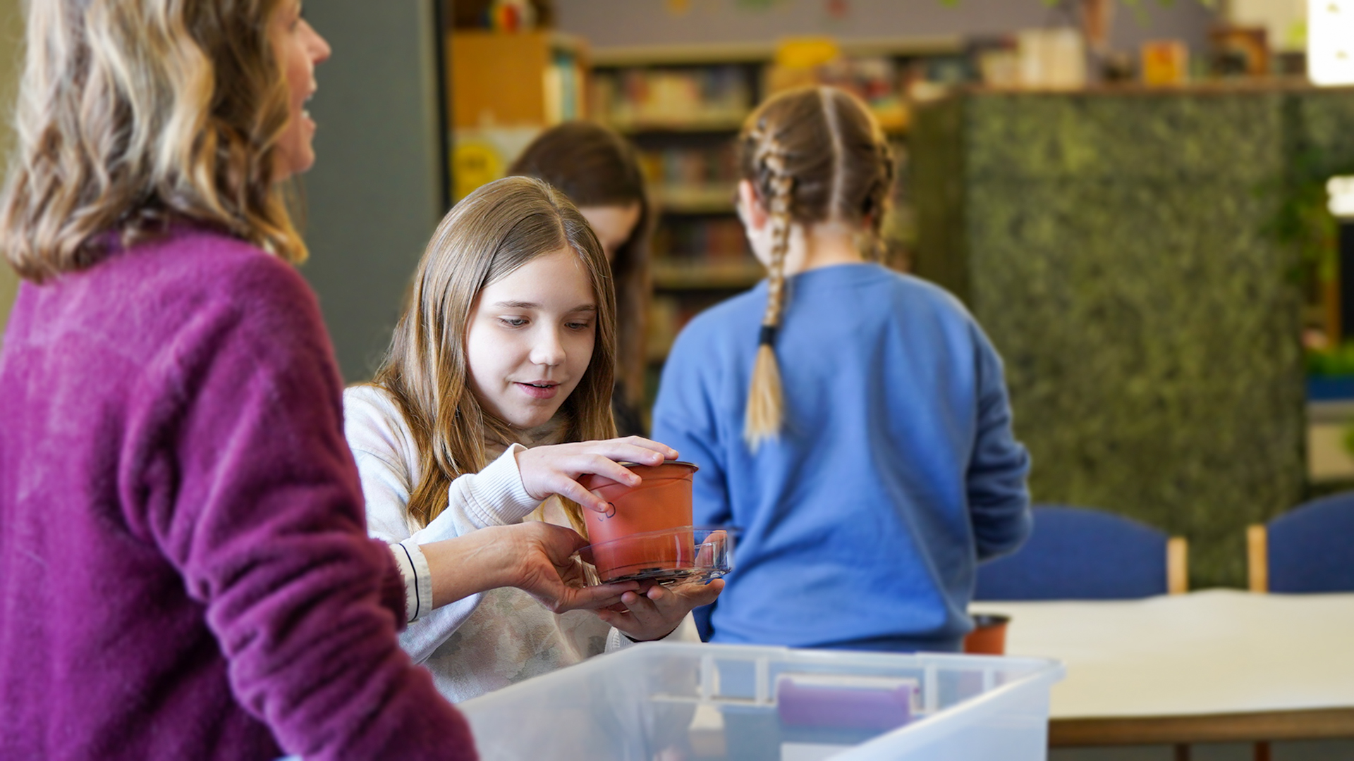 A woman and two girls are planting in a classroom with bookshelves in the background.