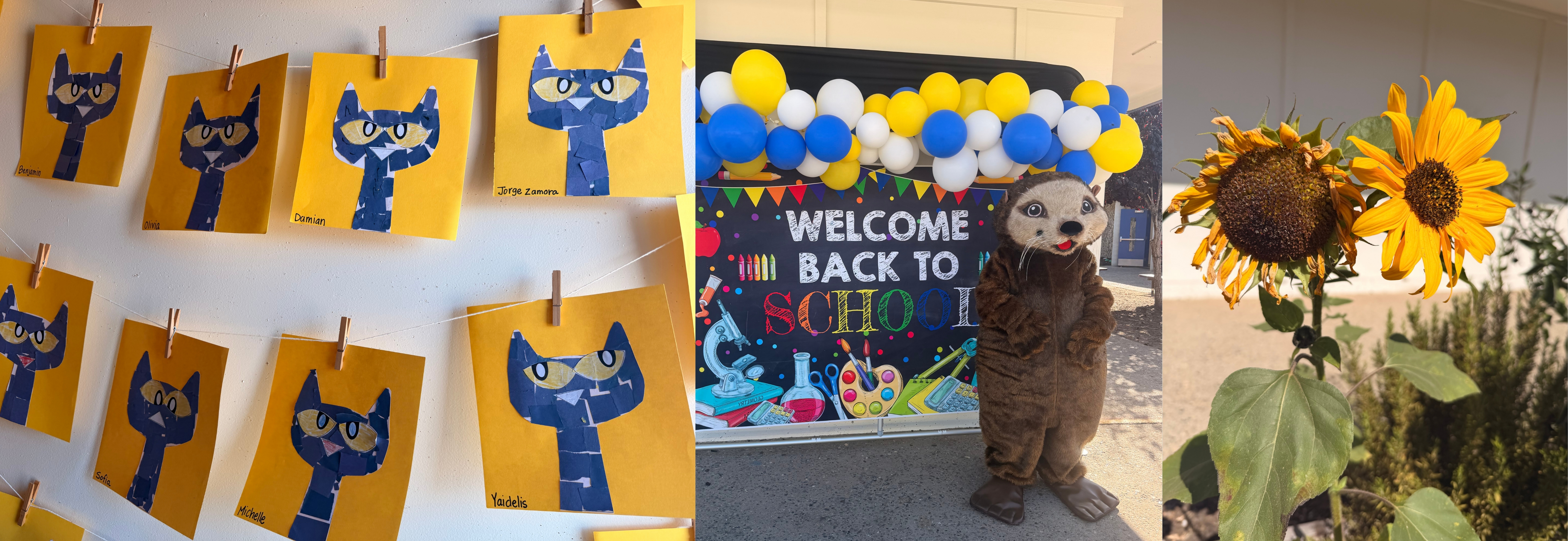 First Days of School
