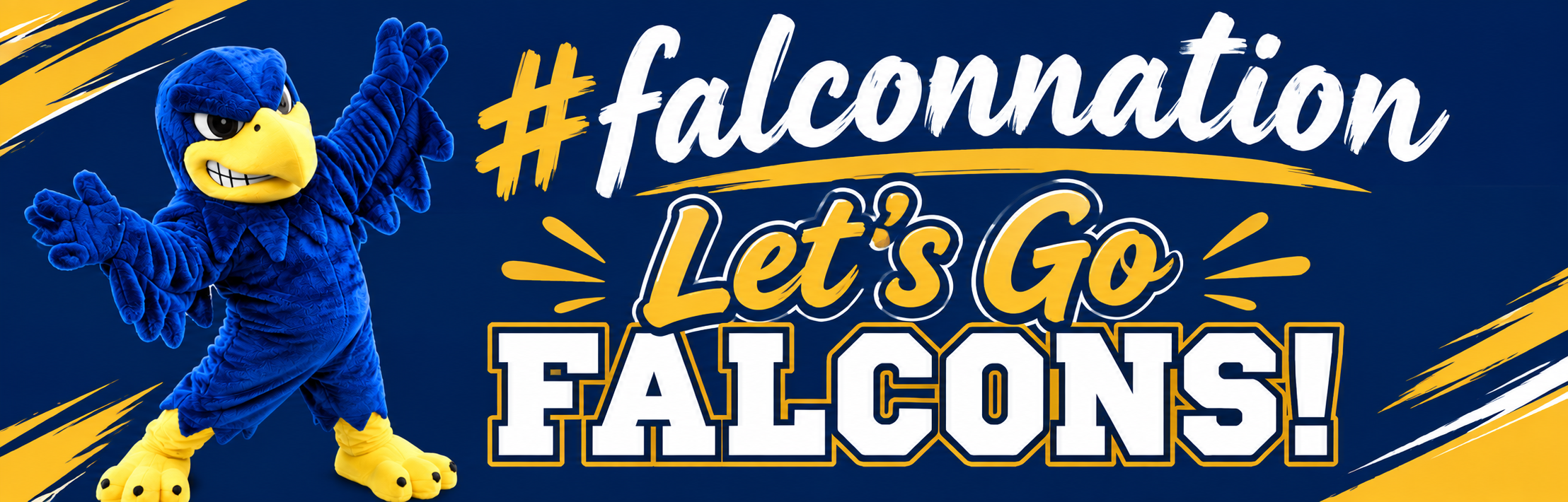 Let's GO FALCONS!