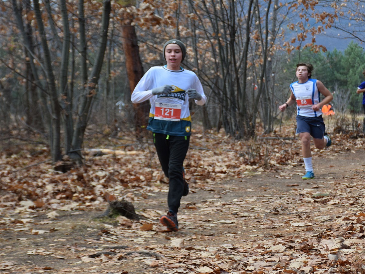Two runners compete on a leaf-covered dirt path surrounded by a forest of bare trees.